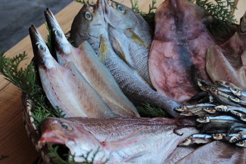 干物セット写真